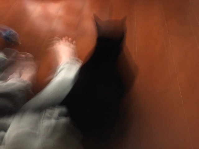 2023May26-Rodem9 - 1.jpeg