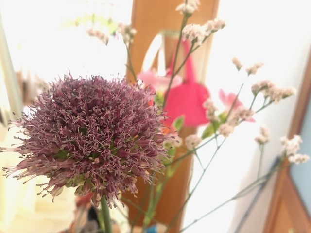 2023May28-Flower1 - 1.jpeg