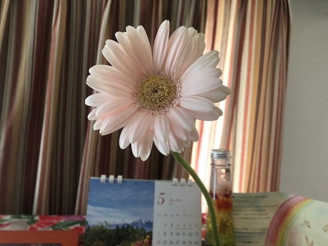 2023May28-Flower2 - 1.jpeg